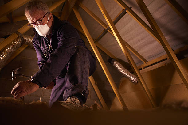 Best Types of Insulation in Herald Harbor, MD