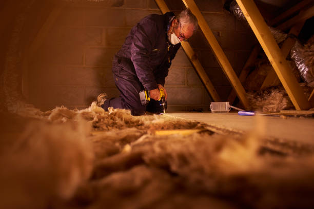 Best Types of Insulation in Herald Harbor, MD